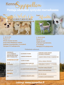 Klikkaa auki pdf esite