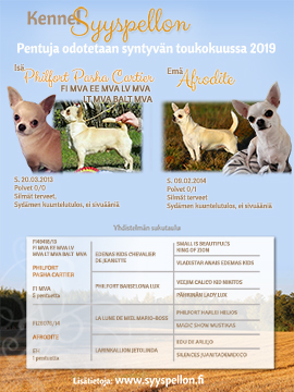 Klikkaa auki pdf esite